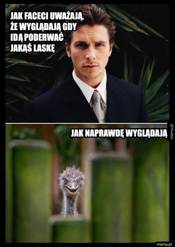 Dzień Mężczyzn 2026, memy