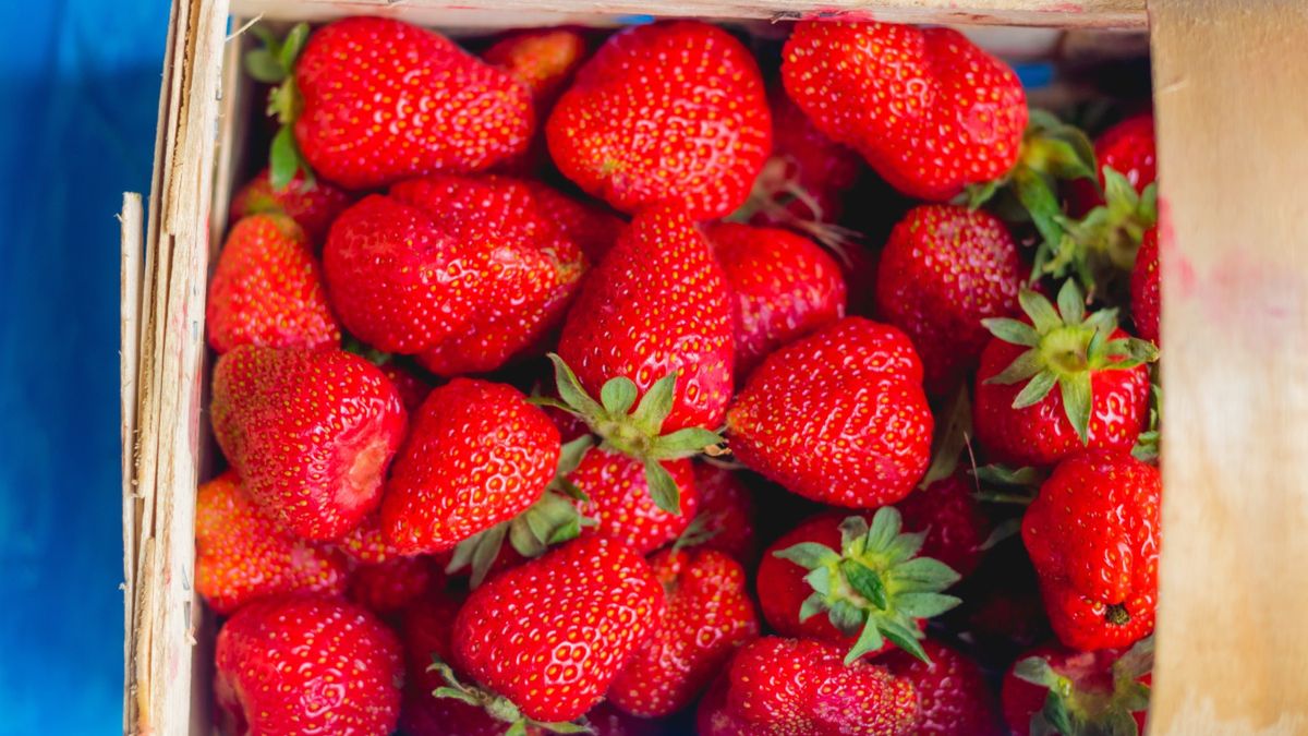 Jak rozpoznać pryskane truskawki?