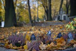 Zaduszki - święto obchodzone 2 listopada. Czy jest to dzień wolny?