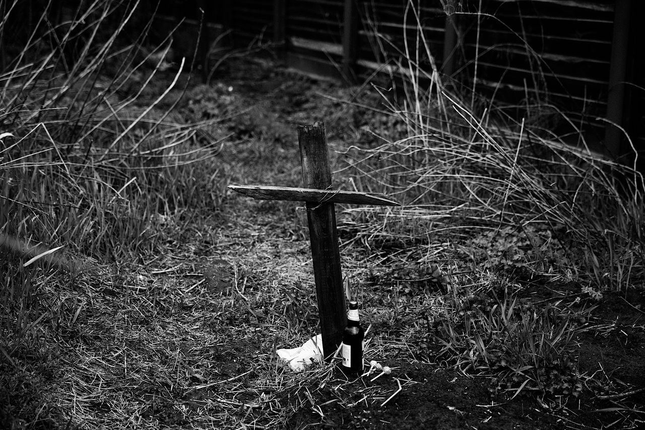 His son left a bottle of beer and three lollipops on Anatoly’s grave