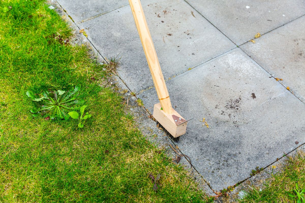 A sparkling terrace awaits: three-ingredient solution to banish weeds