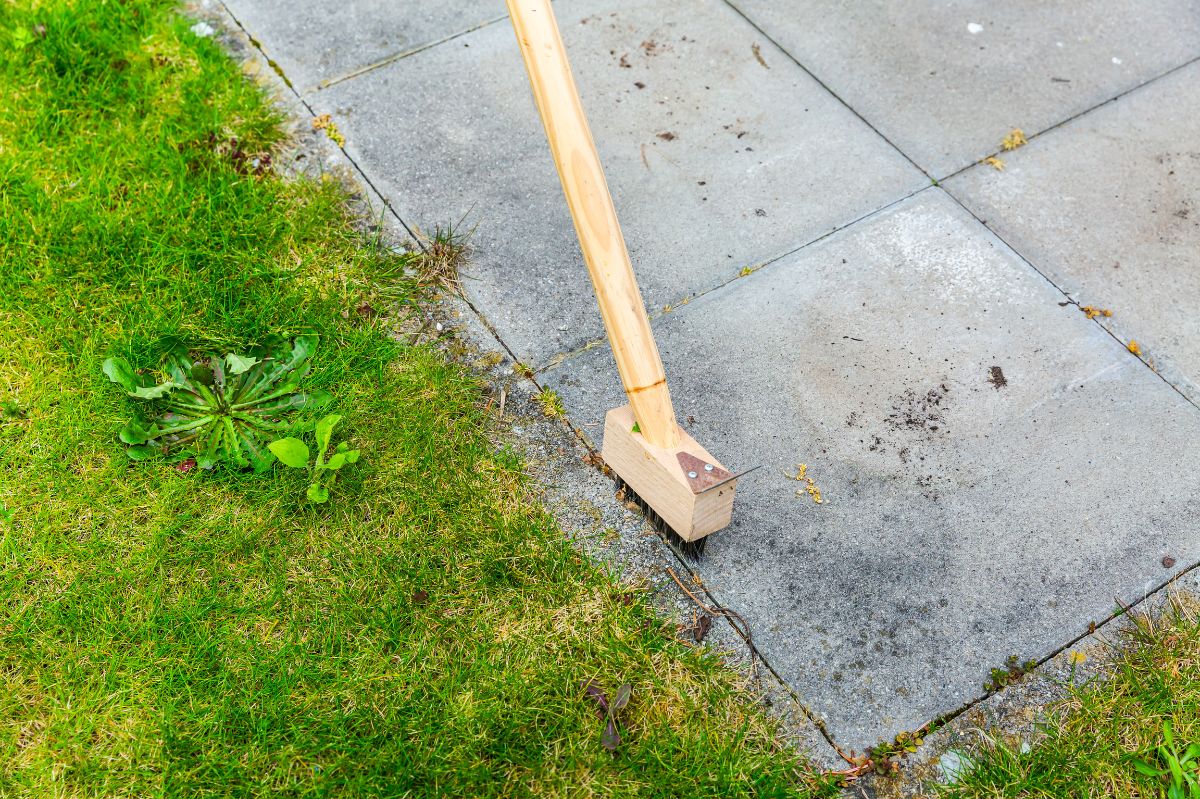 Banish balcony weeds for good with this simple household mix