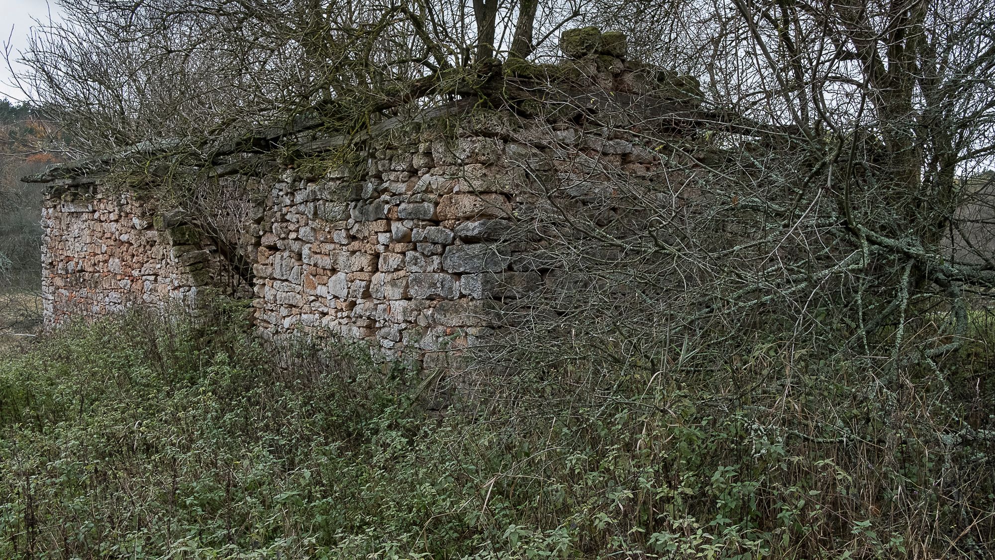Derenk - znikł ostatni bastion polskości na Węgrzech. Pokazał to Michał Adamski 4