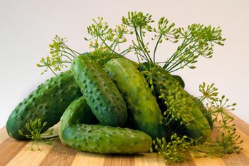 Weź z kuchni i podlej ogórki. Zbiór będzie tak ogromny, że nie nadążysz z kiszeniem