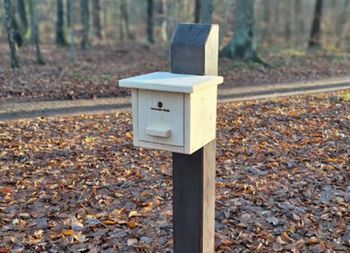 Postawili to w lasach. Już wiadomo, co jest w środku