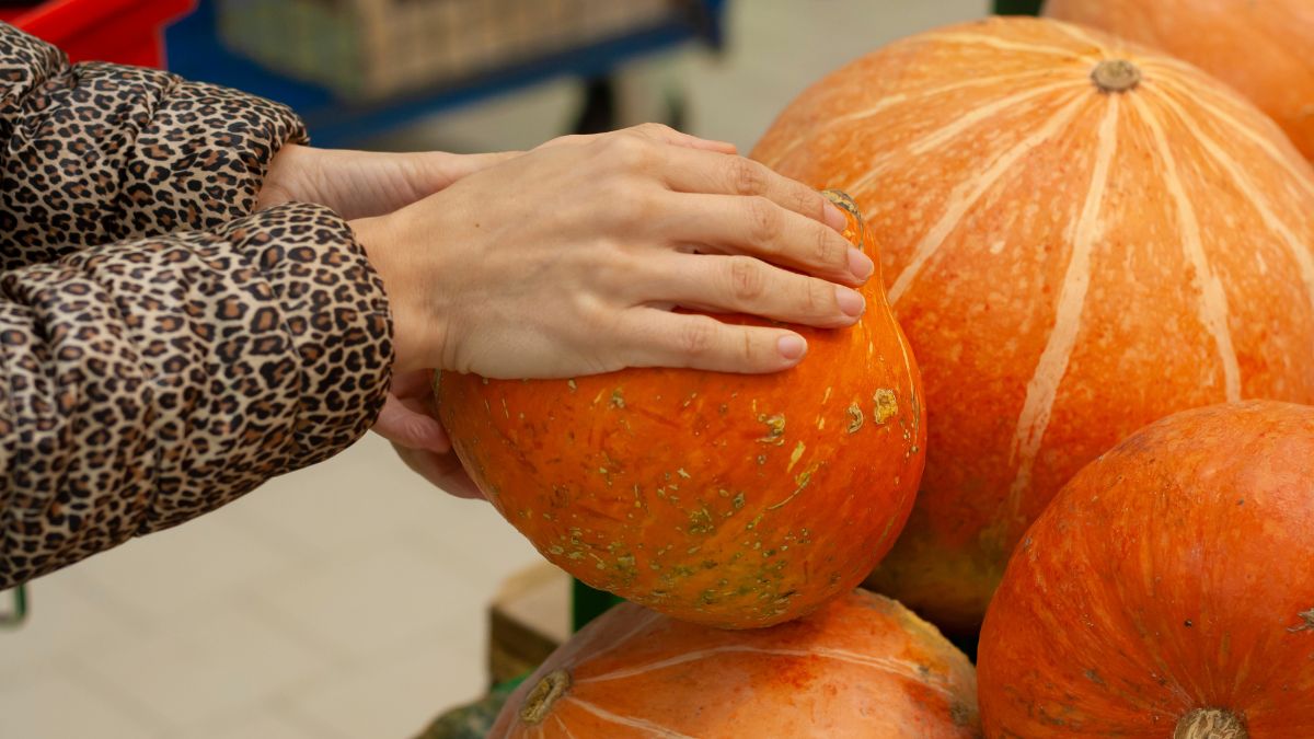Jak kupić dobrą dynię?