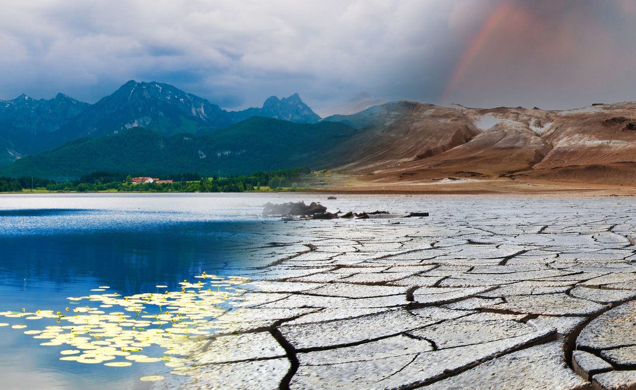 Odtworzyli klimat sprzed tysięcy lat. Pomogły liście