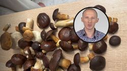 Najzdrowsze polskie grzyby. Zawierają "witaminę długowieczności"