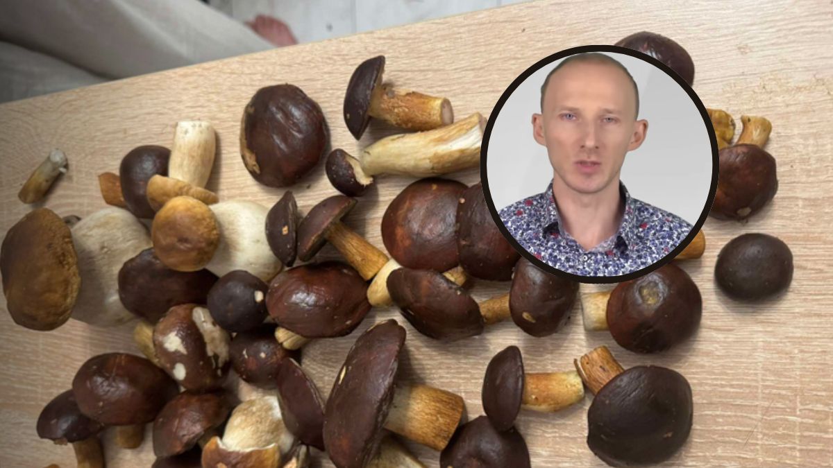 Grzyby to nie tylko zapach i smak. Dostarczają witamin i minerałów