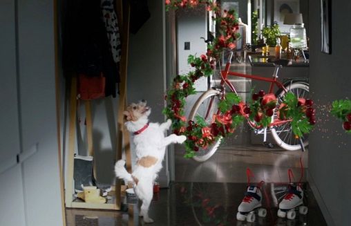 Biovital symbolem łatwej zmiany na lepsze (wideo)