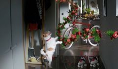 Biovital symbolem łatwej zmiany na lepsze (wideo)