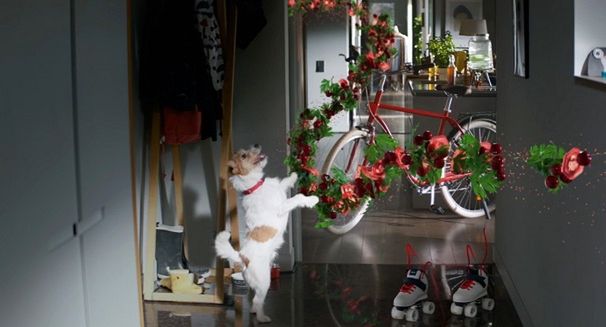 Biovital symbolem łatwej zmiany na lepsze (wideo)