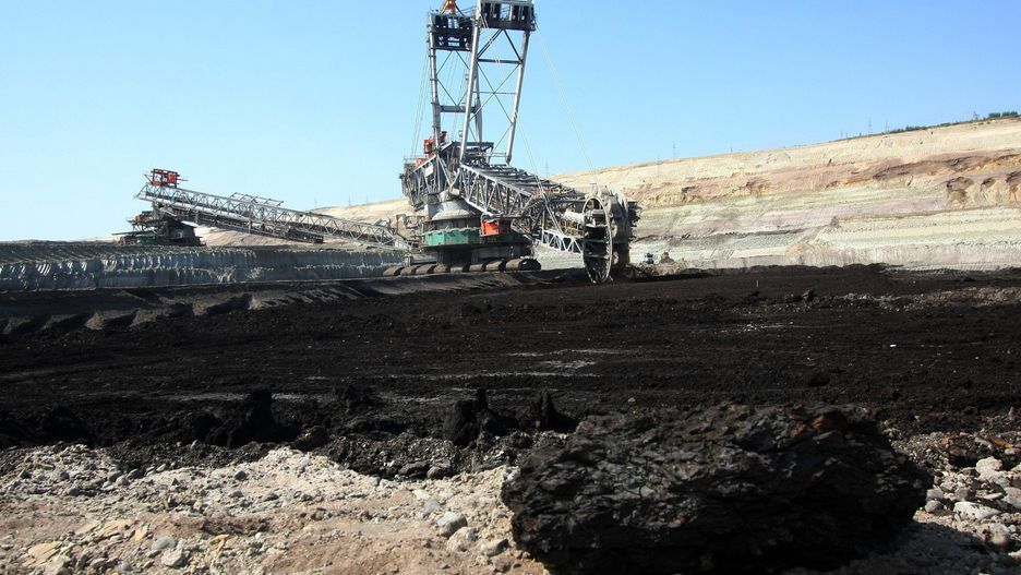 Naukowcy dokonali odkrycia szczątków krokodyla na terenie Pola Szczerców kopalni „Bełchatów” 