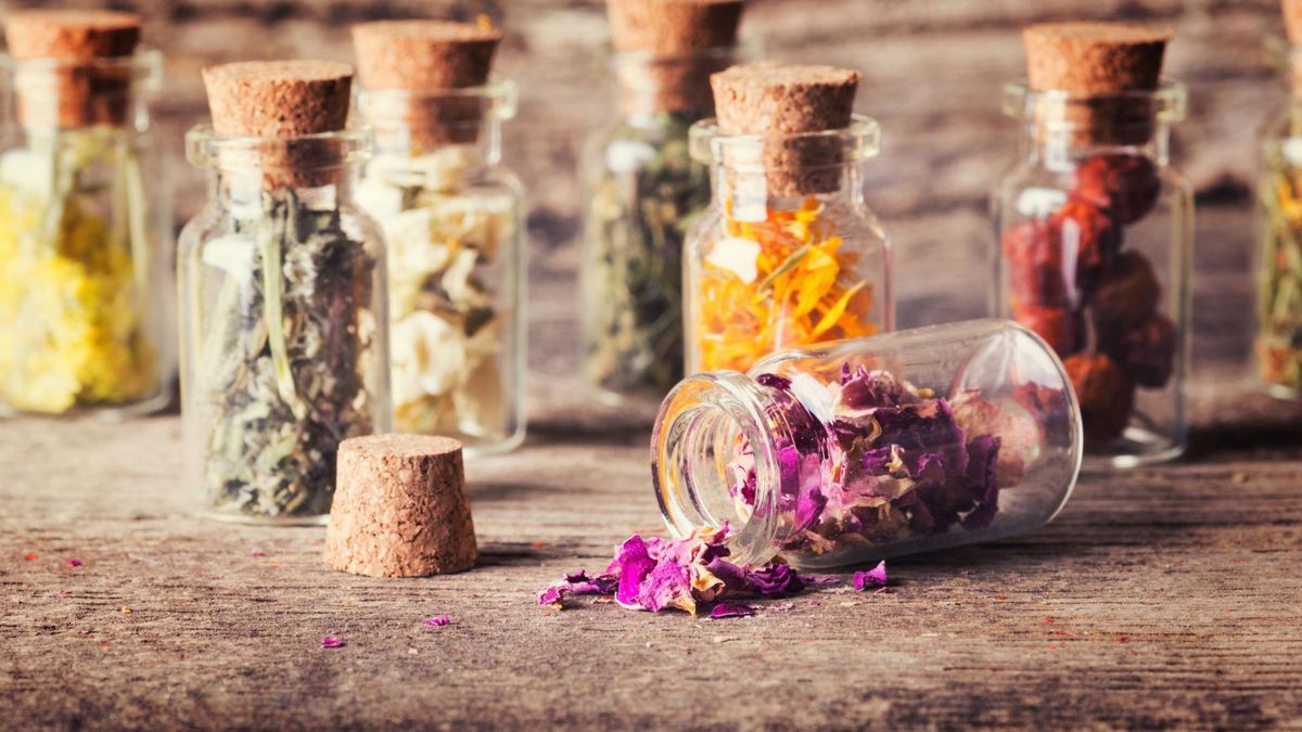 Zioła prowansalskie - skład, właściwości