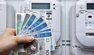 Mrożenie cen prądu dla wszystkich kończy się. Tak wzrosną rachunki