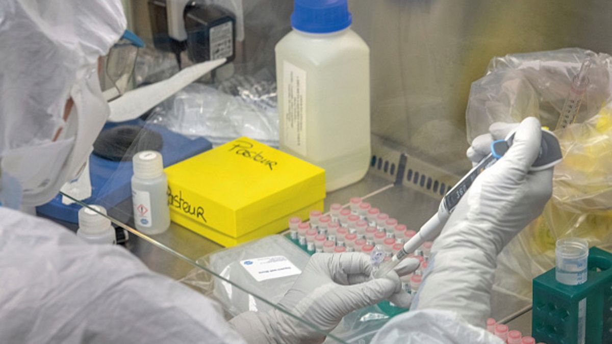 Naukowiec twierdzi, że szczepionka na koronawirusa może pojawić się później, niż zapowiadają naukowcy