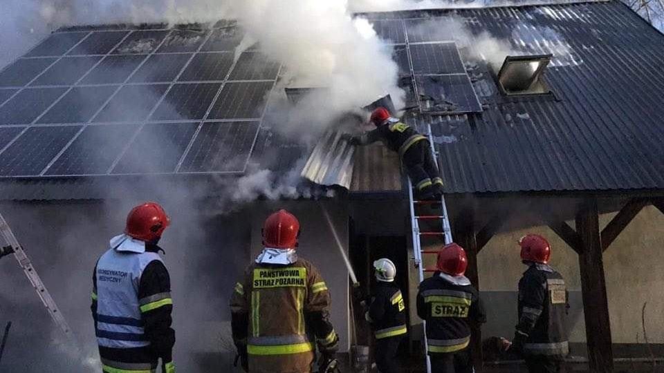 Dolny Śląsk. Zieloni i sąsiedzi apelują: pomóżcie Radkowi, został bez domu