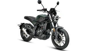 Debiutuje Barton Stratos - modny neoklasyk na kategorię B