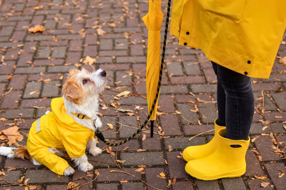 Kobieta w psem w żółtym ubraniu
