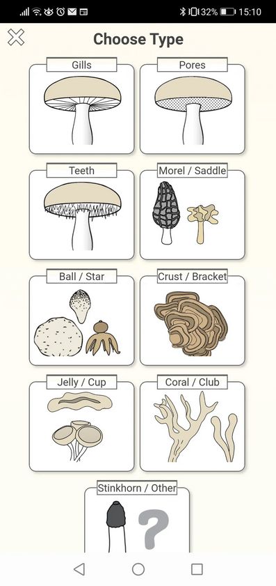 Shroomify