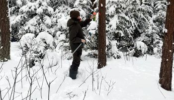 Leśniczka stała przy drzewie. Zrobili jej zdjęcie. Ważne działania