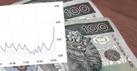 Złoty najsłabszy od ponad miesiąca. Eksperci wyjaśniają dlaczego