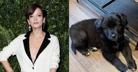 Lily Allen pozbyła się psa, bo "zjadł jej paszporty". "Nie mogłam na nią patrzeć". Fani oburzeni