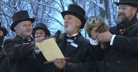 Dzień Świstaka w Stanach Zjednoczonych. Świstak Phil mówi, czy zima zostanie na dłużej