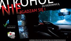 Tragedia imprezowiczów w kampanii „Alkohol za kierownicą - nie zgadzam się!” (wideo)
