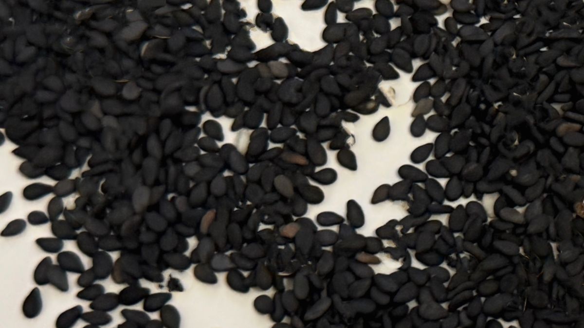 Czarnuszka to drobne nasiona o dużym potencjale.