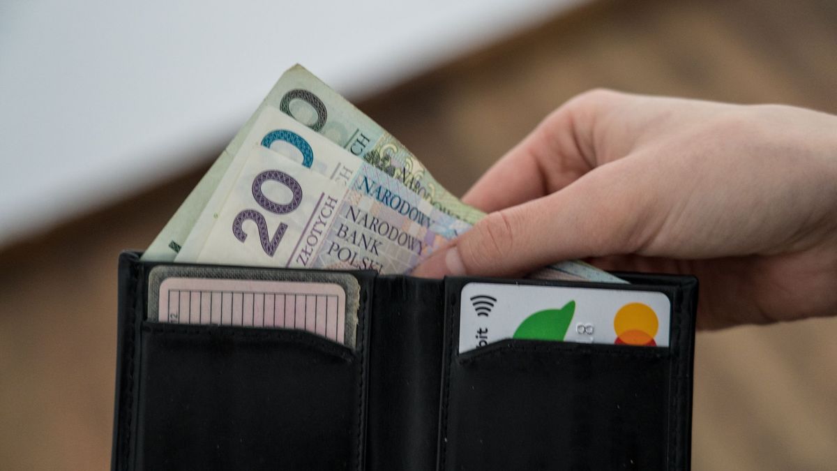 portfel pieniądze złotówki banknoty