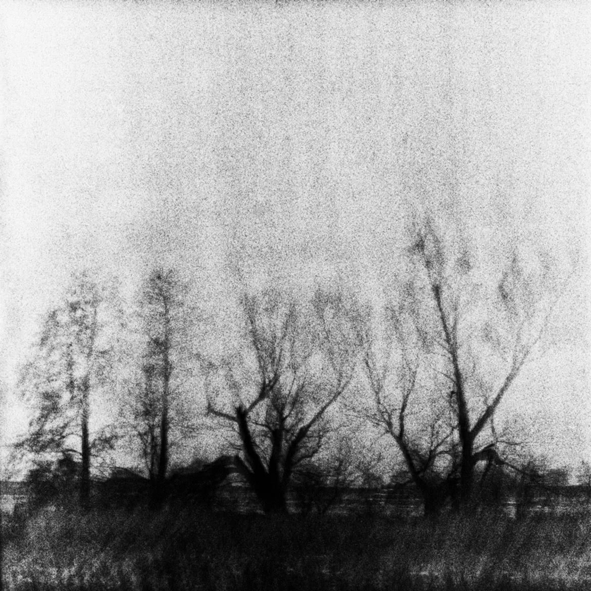 MonoVisions Photography Awards 2017. Polacy nagrodzeni wśród mistrzów fotografii czarno-białej 62