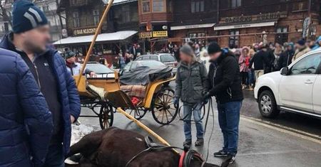 Z kraju: Wystraszony koń biegł przez Krupówki. Staranował małe dziecko