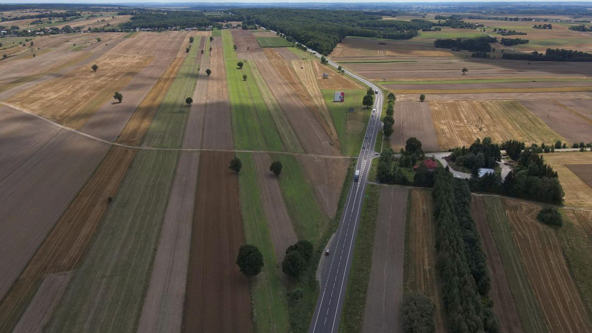 Zdjęcie ilustracyjne