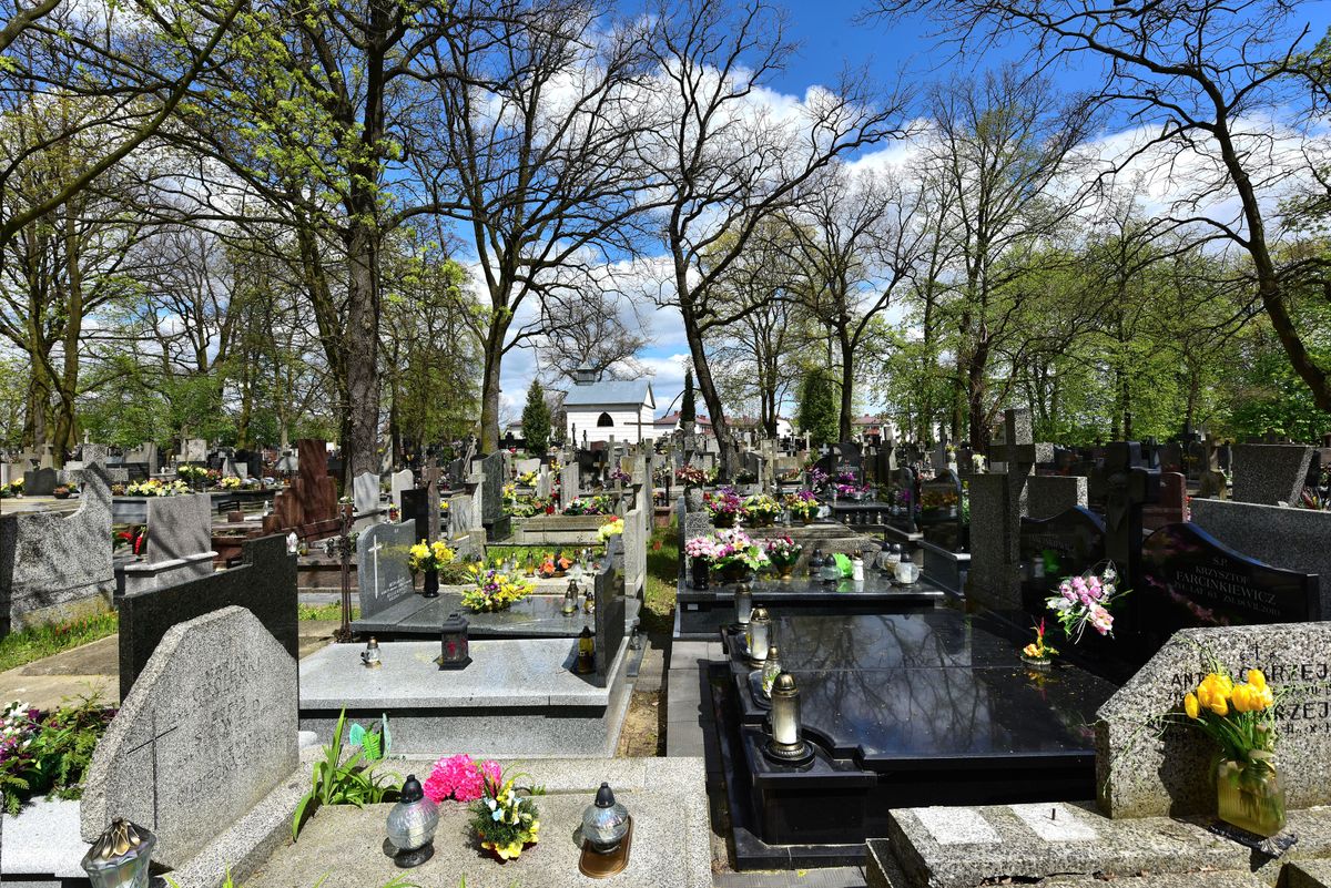 Cmentarz (zdjęcie poglądowe)