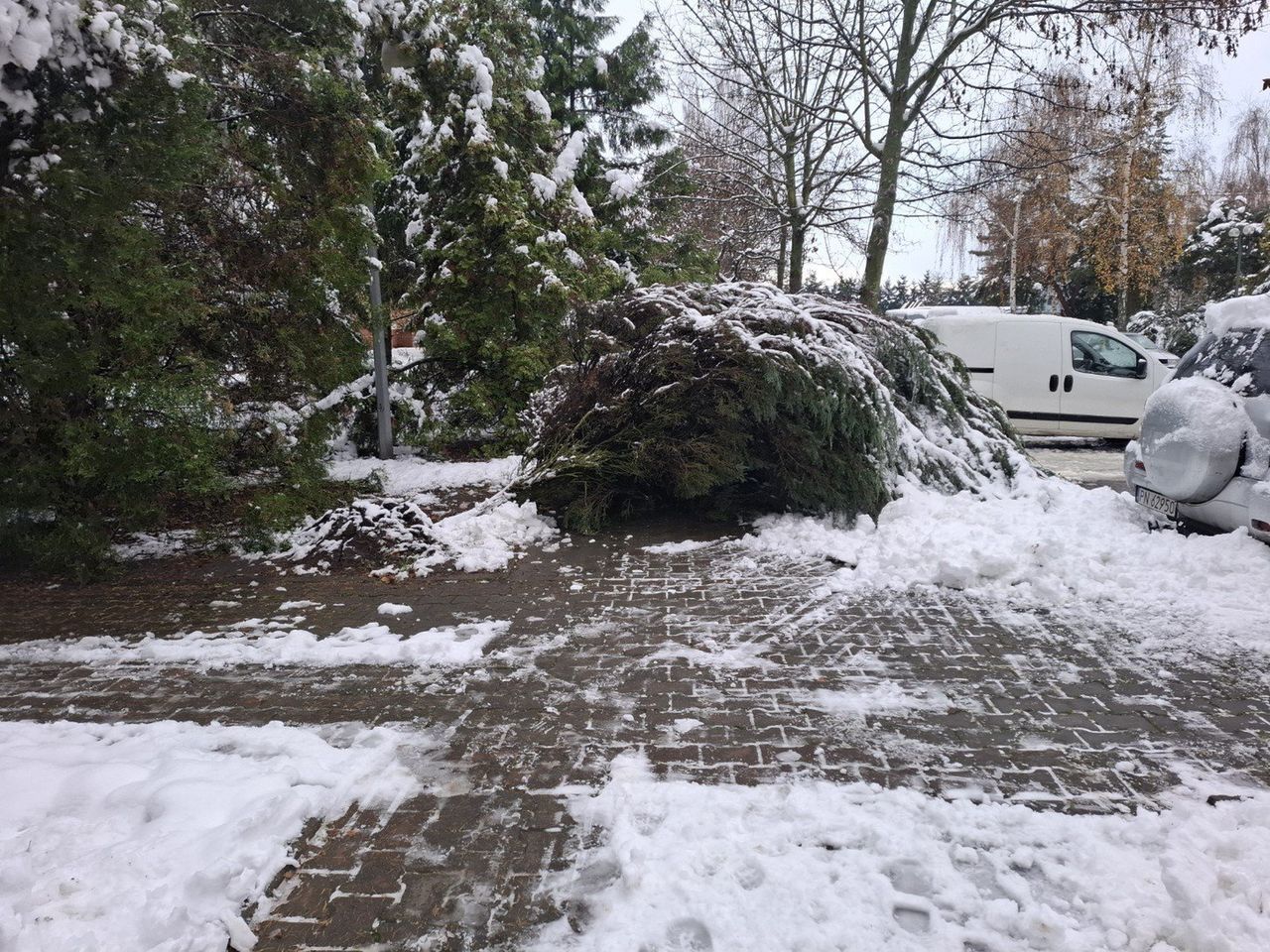 Konin: Atak zimy. Strażacy mieli co robić. Tyle razy wyjeżdżali do zdarzeń
