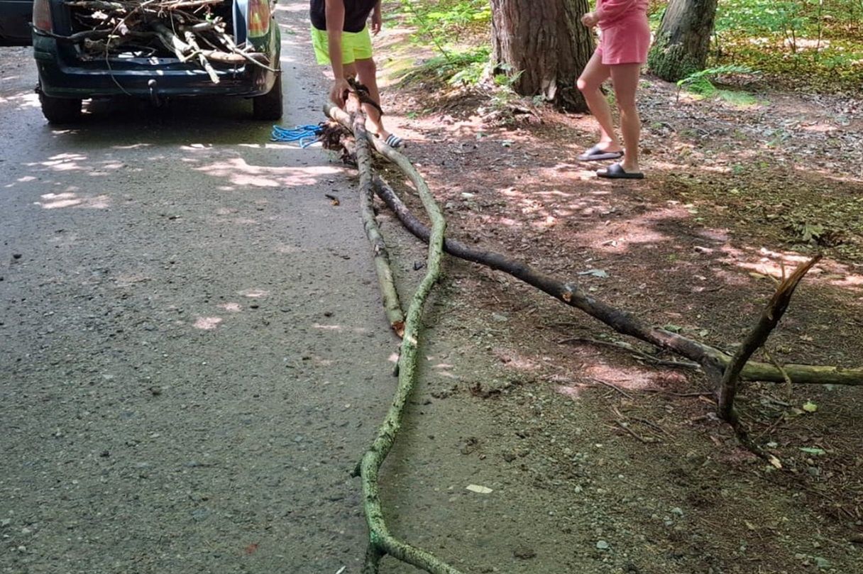Przyłapali ich w rezerwacie. Leśnicy pokazali zdjęcie