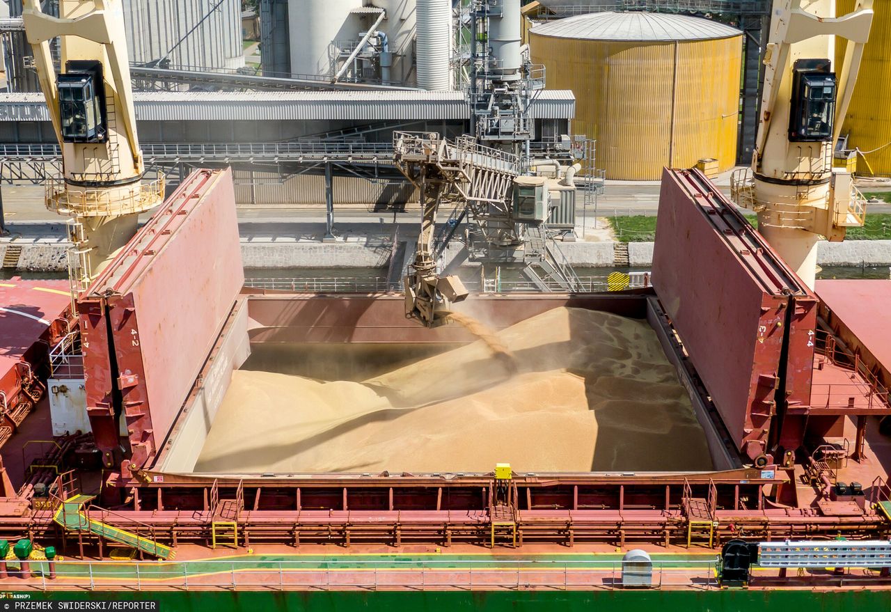 Polska zalana zbożem. "Ile go jest? Tego nikt nie wie. Mamy tylko informację z Ukrainy"