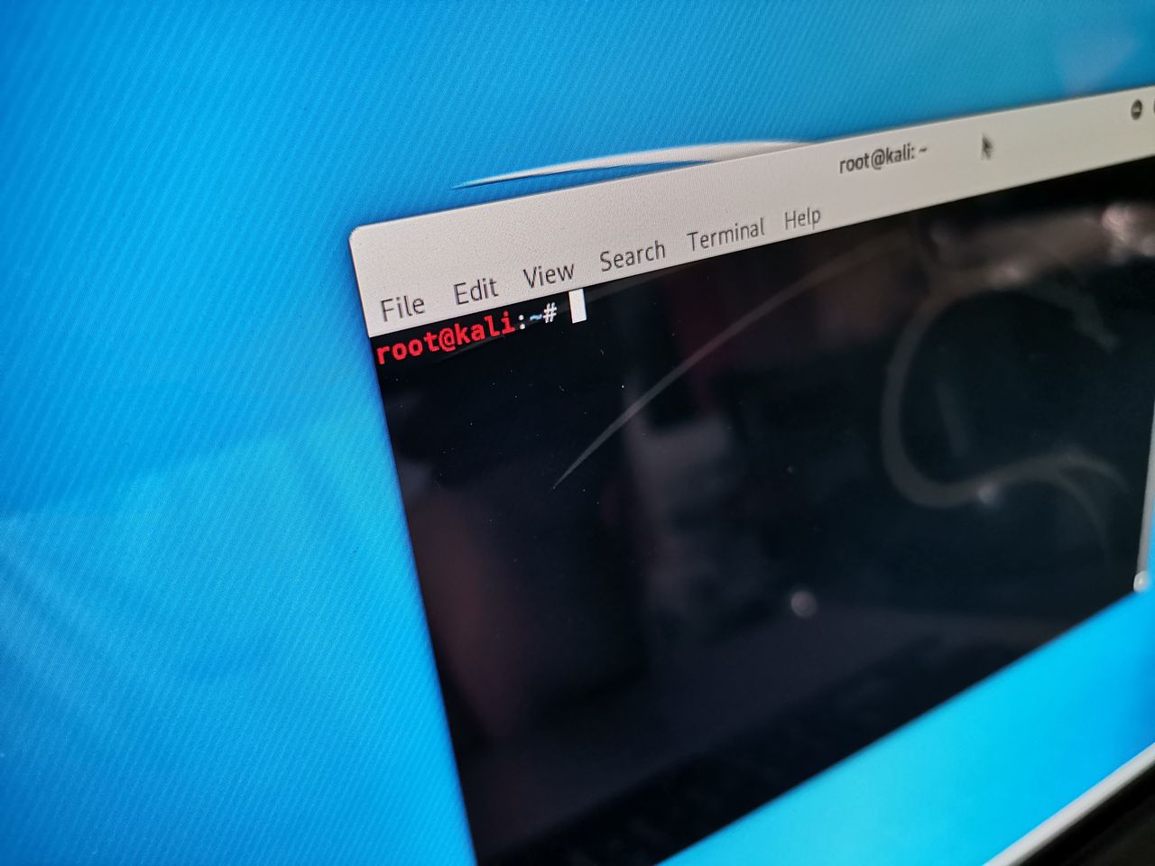 Kali Linux 2019.1: nowe wydanie systemu do testów penetracyjnych