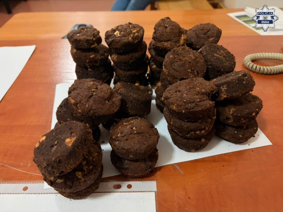 "Ciasteczka z marihuaną i pół kilo dragów w mieszkaniu" – gliwicki diler wpadł z bogatym asortymentem