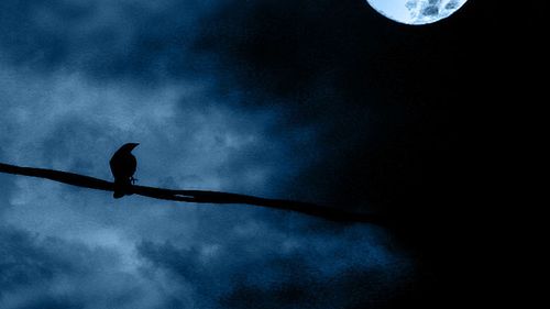 Dlaczego należy wyprowadzić technologię z sypialni? 1