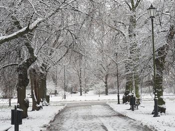 Od gołoledzi po atlantycki powiew. Weekend pełen zmian w pogodzie