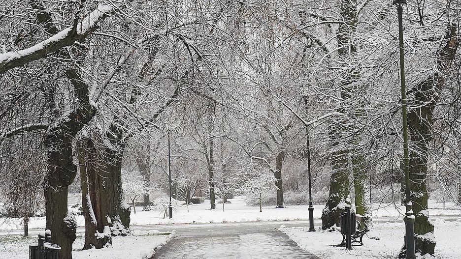 Zima w Łodzi. Śnieg sypie cały dzień
