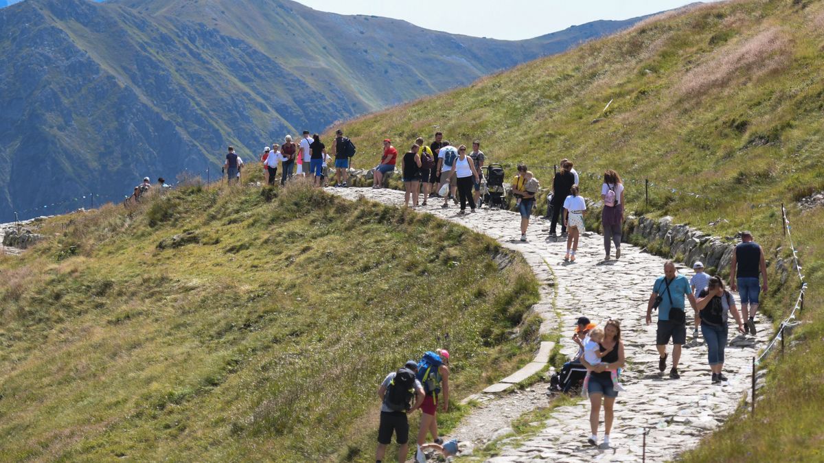 Mandaty w Tatrach - warto wiedzieć, za co można je dostać