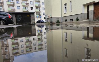 Gorzów: Wenecja po gorzowsku. Woda zalewa podwórko, a mieszkańcy nie chcą się dołożyć