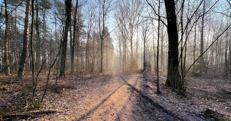 Radykalna zmiana w pogodzie. Zapowiedzi są jednoznaczne