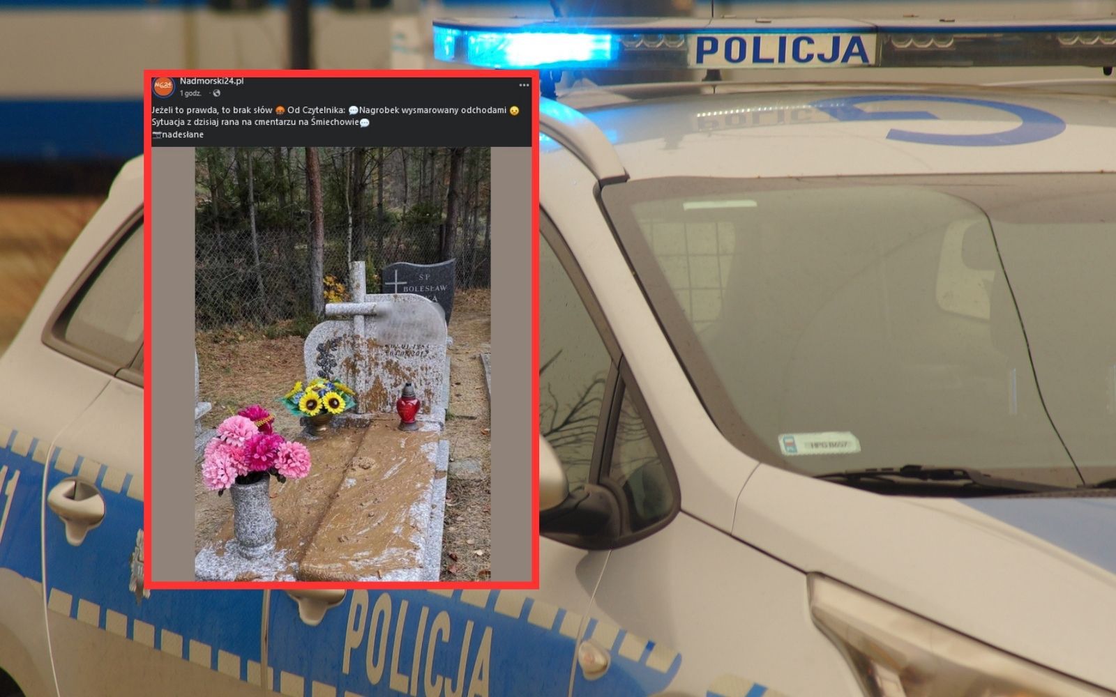 Grób obsmarowany fekaliami? "Brak słów". Policja na cmentarzu