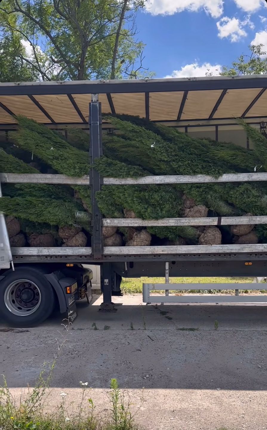 Andziaks pochwaliła się roślinami do ogrodu