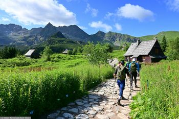 Zakopane pęka w szwach. Tak wzrosła liczba noclegów