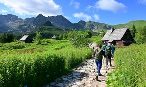 Zakopane pęka w szwach. Tak wzrosła liczba noclegów